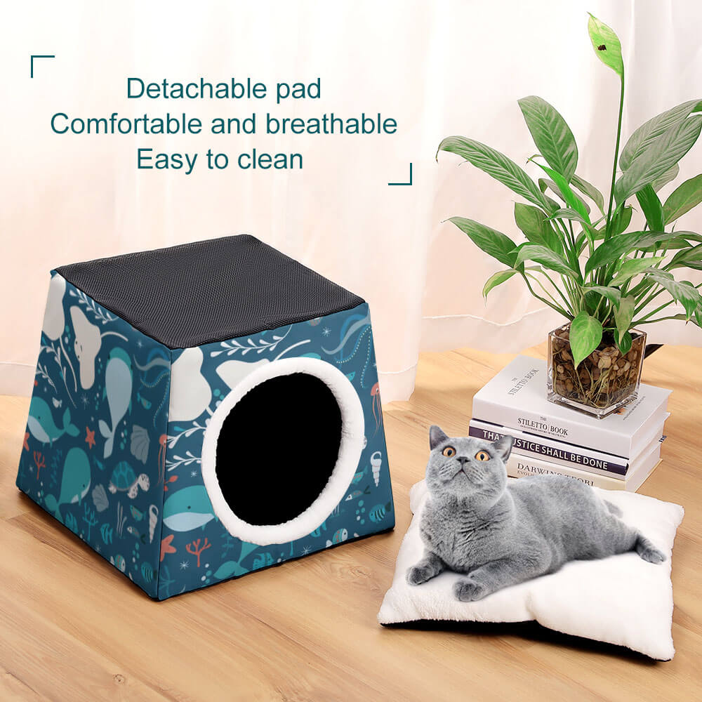 Capsule pet Waterloo